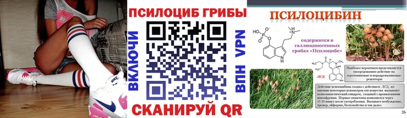 Галлюциногенные грибы прущие грибы  где можно купить наркотик  Тарко-Сале 